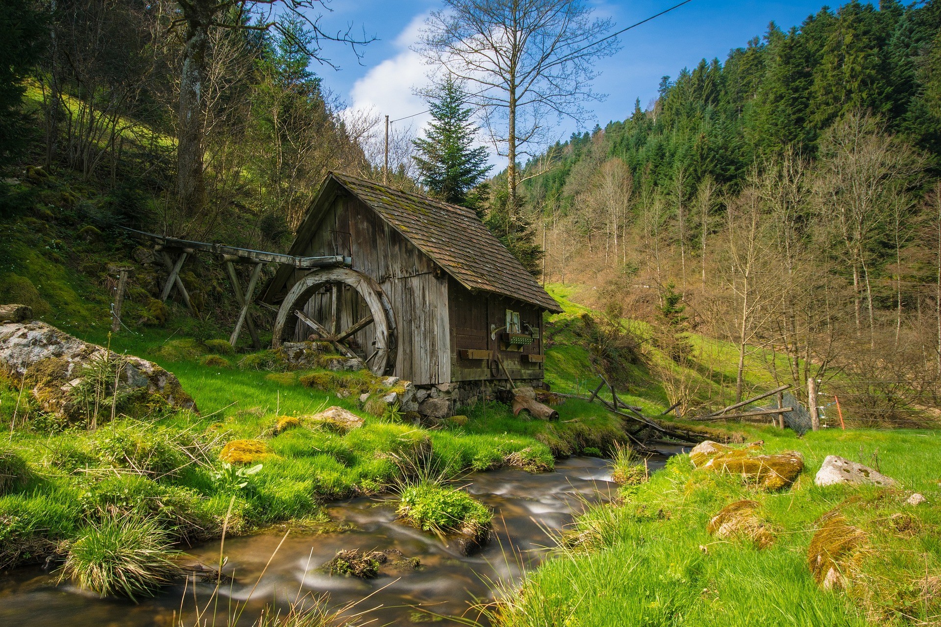 Bioresonanz bei Stoffwechselstörungen